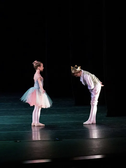 Royale Ballet Dance Academy Picture 4