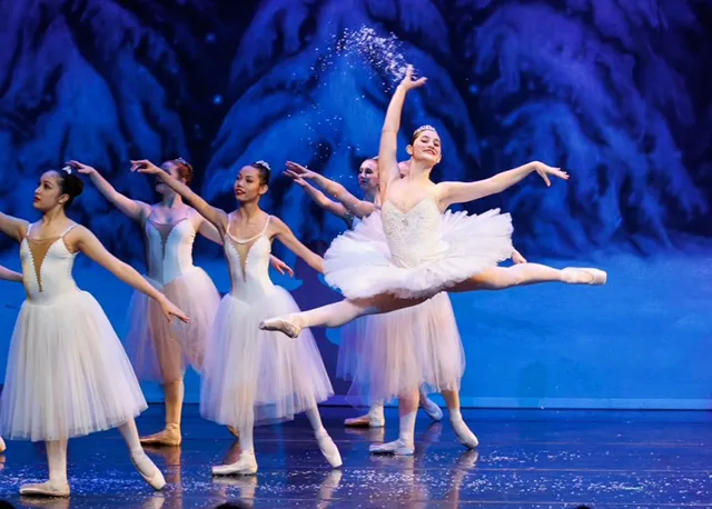 Royale Ballet Dance Academy Picture 9