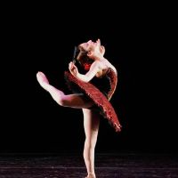 Chamberlain School of Ballet ico
