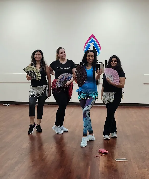 Bellydance with Diana Picture 4