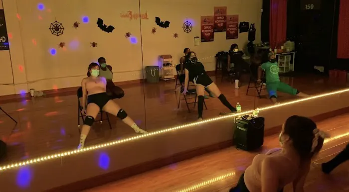 Legs Up Fitness & Aerial Arts Picture 3