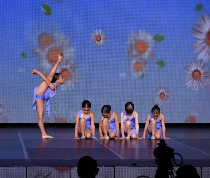 ProviDance Performing Arts Center Picture 8