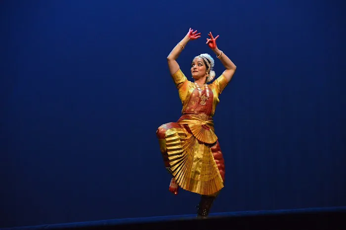 Arohana Academy of Performing Arts LLC Picture 5
