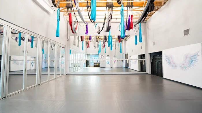 Altitude Pole Fitness & Aerial Arts Picture 2