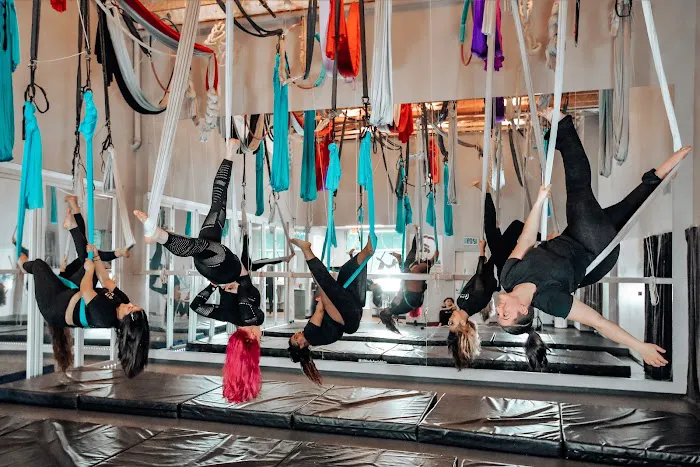 Altitude Pole Fitness & Aerial Arts Picture 5