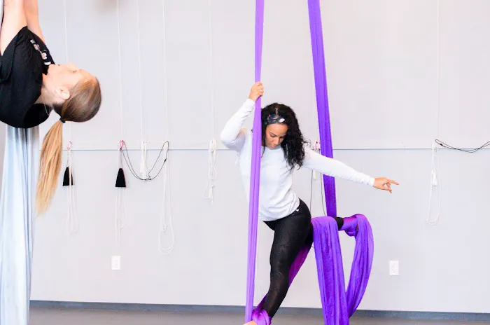 Altitude Pole Fitness & Aerial Arts Picture 6