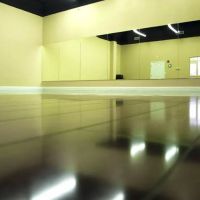 McKinney Dance Studio ico