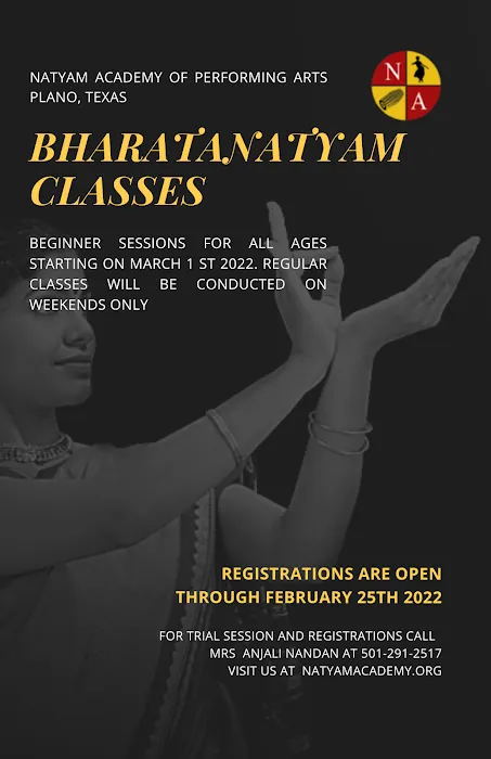 Natyam Academy Of Performing Arts Picture 4