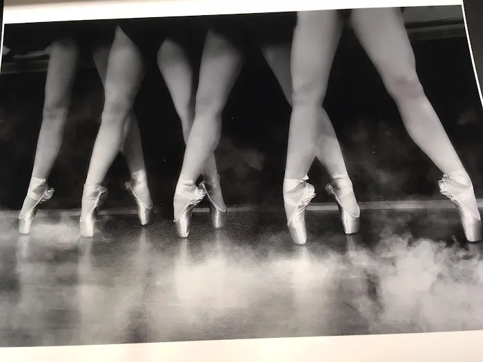Dove Academy of Dance Arts Picture 7