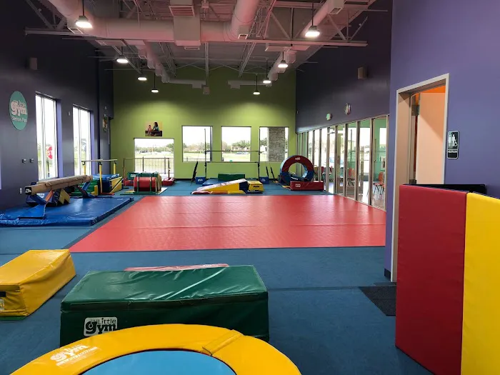 The Little Gym of Plano Picture 1