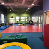 The Little Gym of Plano ico