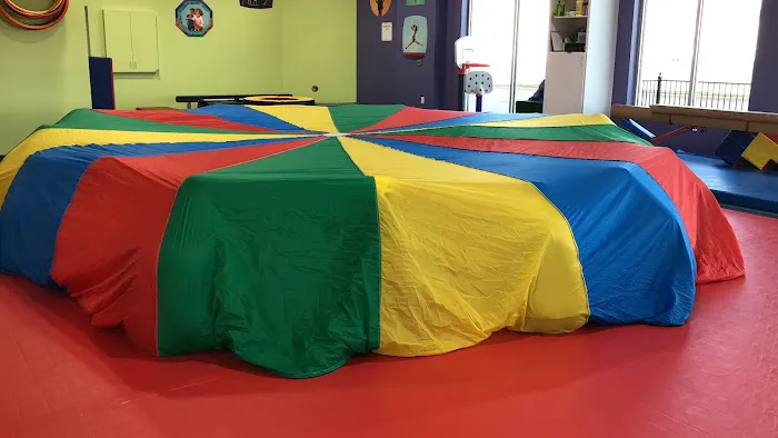 The Little Gym of Plano Picture 8