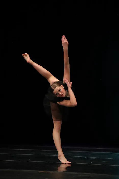 For the Love of Dance Picture 5