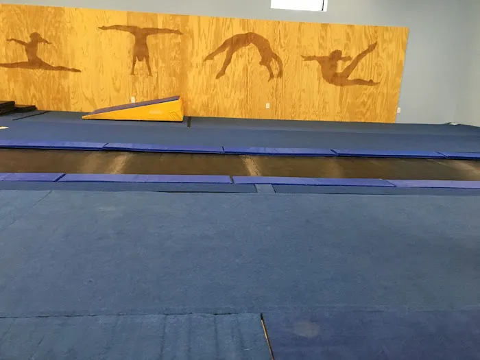 KDF Dance and Gym Picture 6