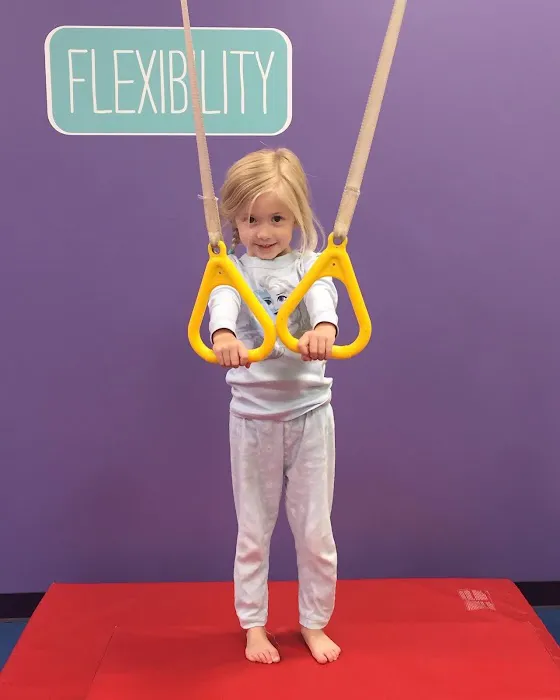 The Little Gym of Rockwall Picture 8