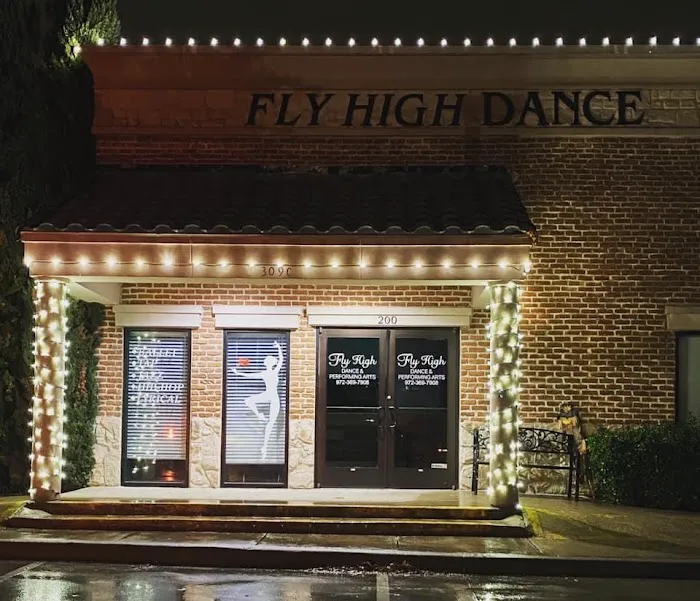 Fly High Dance & Performing Arts Picture 5