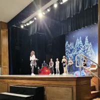 The Dance Collective McKinney ico