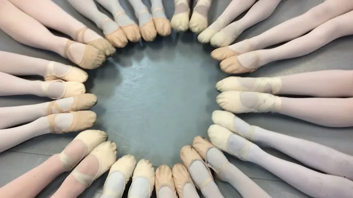 Texas Youth Ballet Picture 7