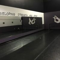 Dancer Strong Academy ico