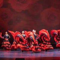HappyFeet Dance School & Performance ico