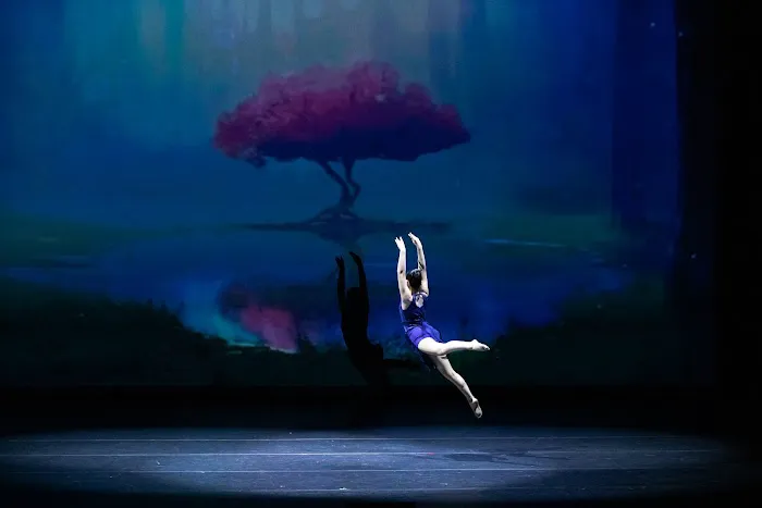 HappyFeet Dance School & Performance Picture 9