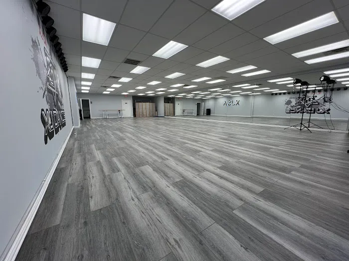 XJ Star Academy Picture 1