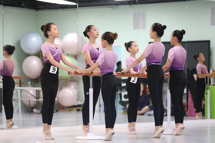 XJ Star Academy Picture 10