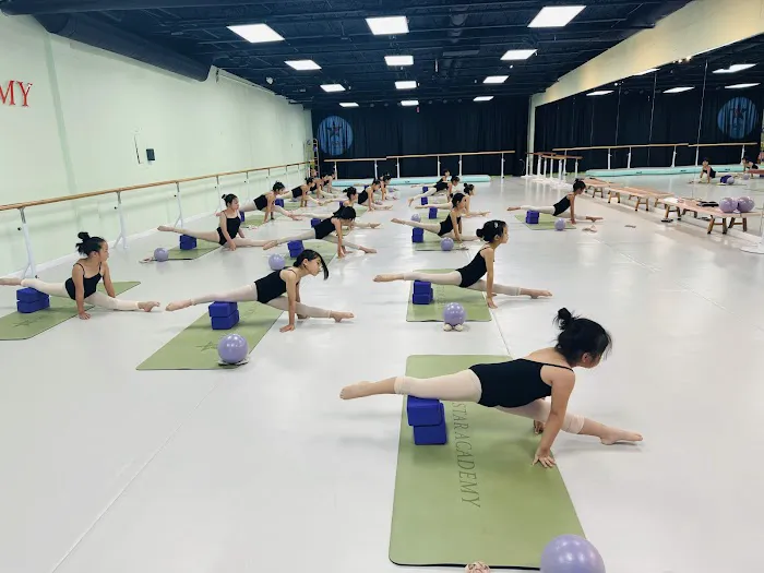 XJ Star Academy Picture 6