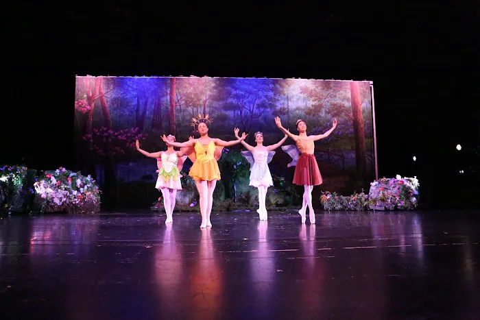 TJC Academy of Dance Picture 8