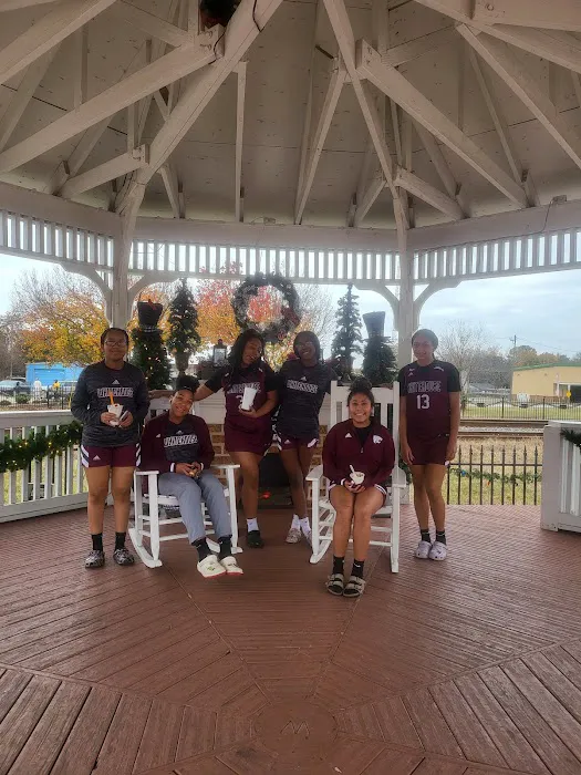 Spirit of Tyler Picture 3