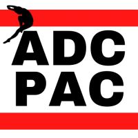 Artistic Dance Concepts Performing Arts Conservatory ico