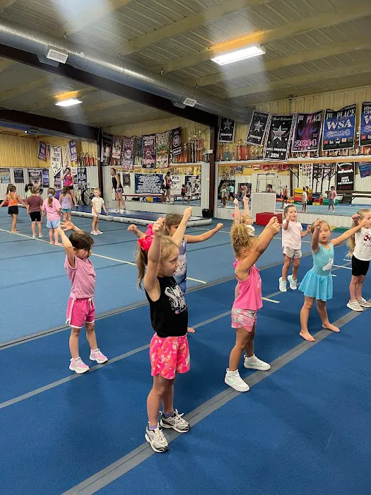 GymTyler Gymnastics Picture 3