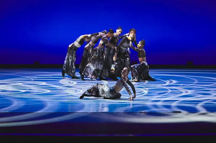 Academy of Dance Arts Picture 3