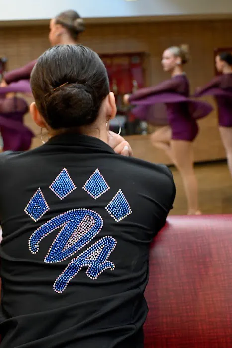 Dance Athletics Plano Picture 3