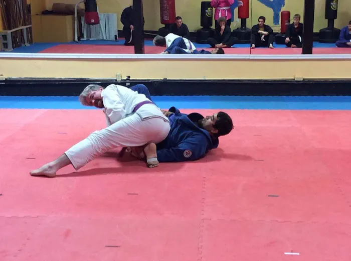 Mt. Pleasant Martial Arts Picture 5