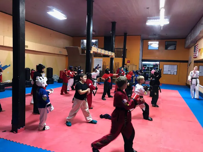 Mt. Pleasant Martial Arts Picture 7