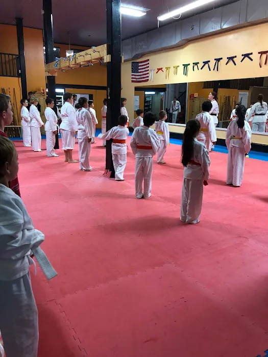 Mt. Pleasant Martial Arts Picture 6