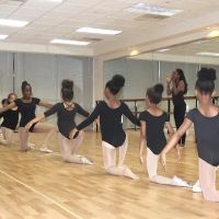 Dance Arts Academy ico