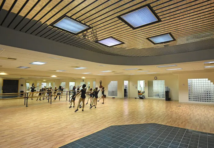 Dance Arts Academy Picture 3