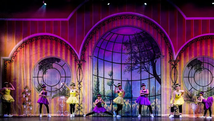 Lawton Ballet Theatre Picture 2