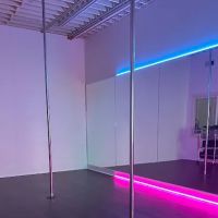 Raven Studios ico