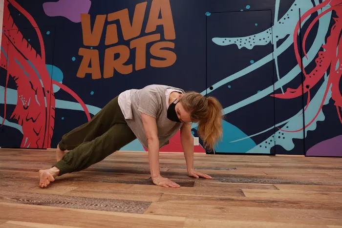 VivaArts Picture 4