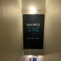 Dragonfly Yoga Pilates Dance ico