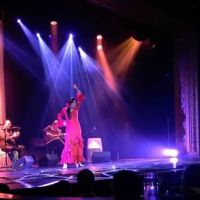 Flamenco Seattle ico