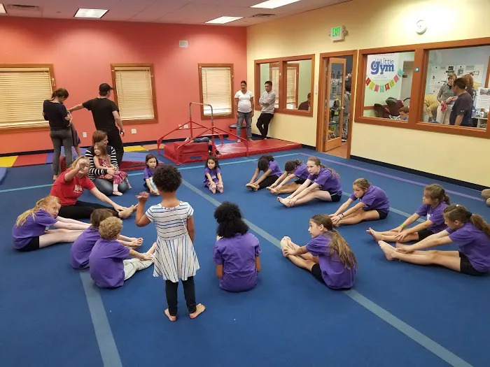 The Little Gym of West Seattle Picture 2