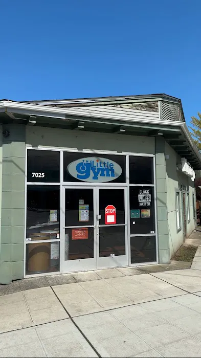 The Little Gym of West Seattle Picture 6