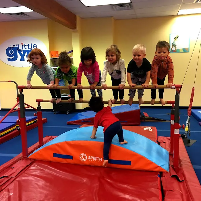 The Little Gym of West Seattle Picture 9