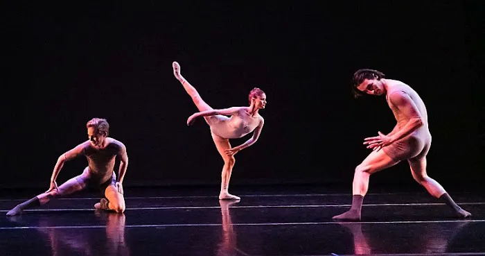 ARC Dance Picture 3