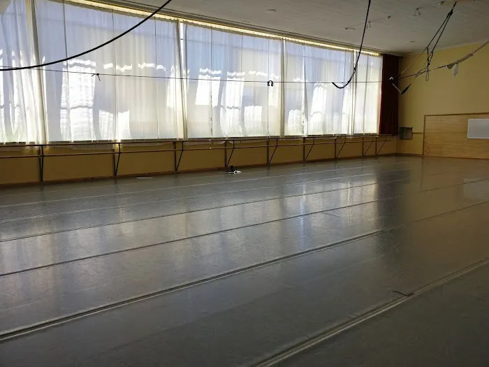 ARC Dance Picture 5
