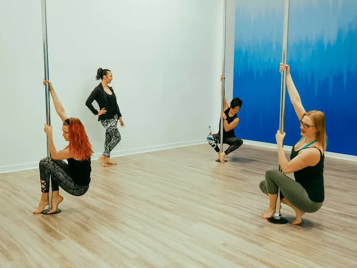Ascendance Pole and Aerial Arts Picture 1